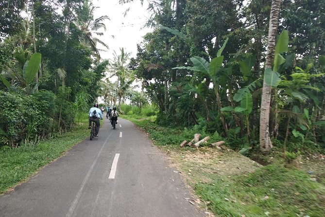 Bali Amazing Cycling Tour