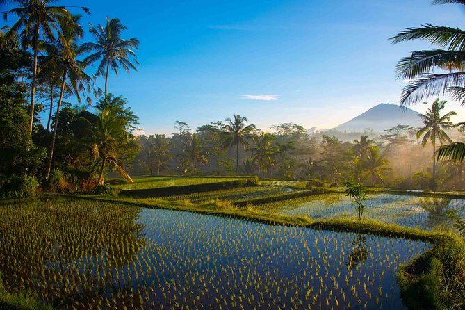 Bali Half Day Photography Tour