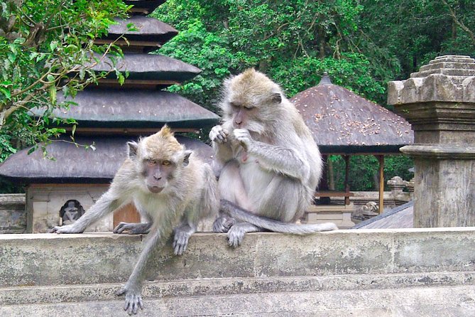 Bali Package Tour: 4 Days & 3 Night - Comprehensive Bali Itinerary