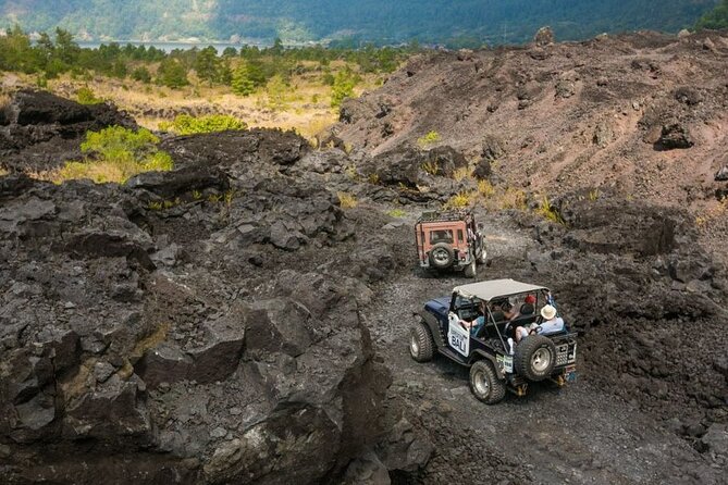 Bali Private Tour With English Speaking Driver Tour Guide