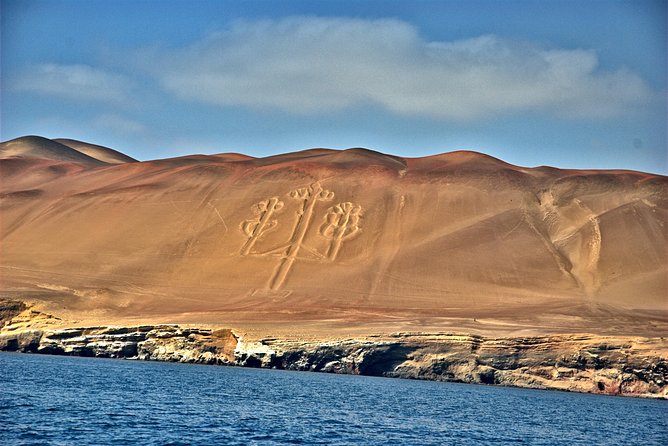 Ballestas Islands Group Tour From San Martin Port