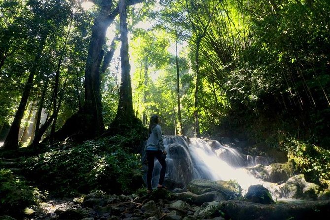 Bamboo Rafting, ATV Riding and Jungle Tour From Phuket