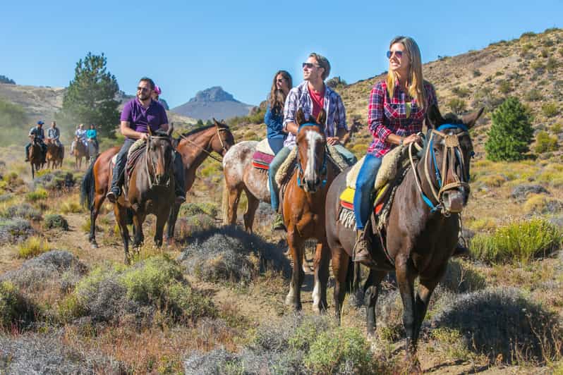 Bariloche: The Forge Horseback Ride