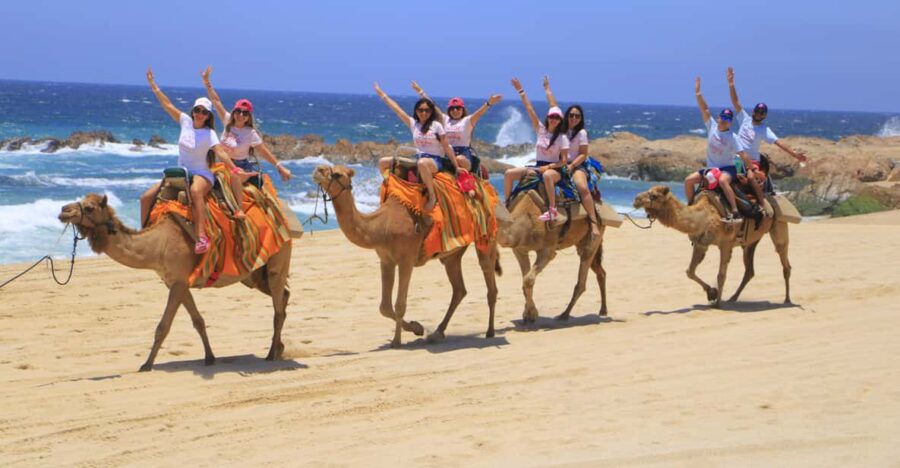 Beach CAN-AM SXS X3 & Camel Ride in Cabo by Cactus Tours