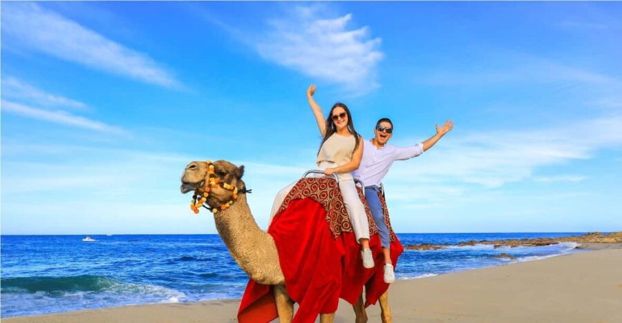 Beach UTV & Camel Ride COMBO in Cabo by Cactus Tours Park