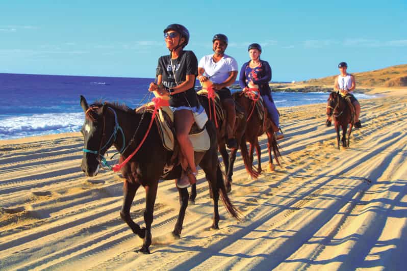 Beach UTV & Horseback Riding COMBO in Cabo by Cactus Tours