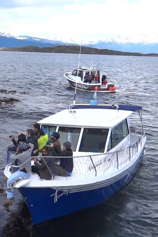 23 Best Cruises And Boat Tours In Ushuaia