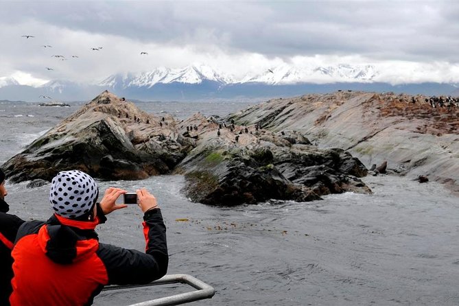 Beagle Channel Navigation Penguin Colony