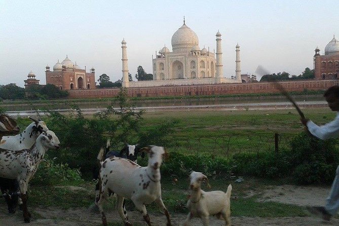 Behind the Taj Mahal With Sunrise or Sunset View by Tuk Tuk Ride