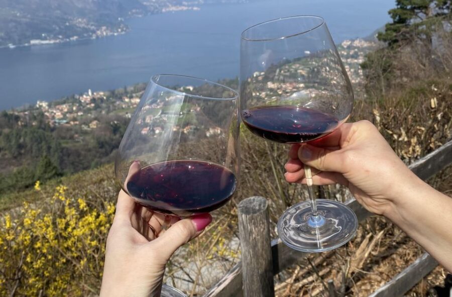 Bellagio: Exclusive Picnic at the Agrofarm With Scenic View
