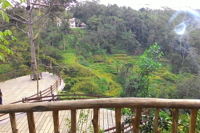 Best of Bali : Ubud, Rice Terrace, Tanah Lot Temple With Lunch