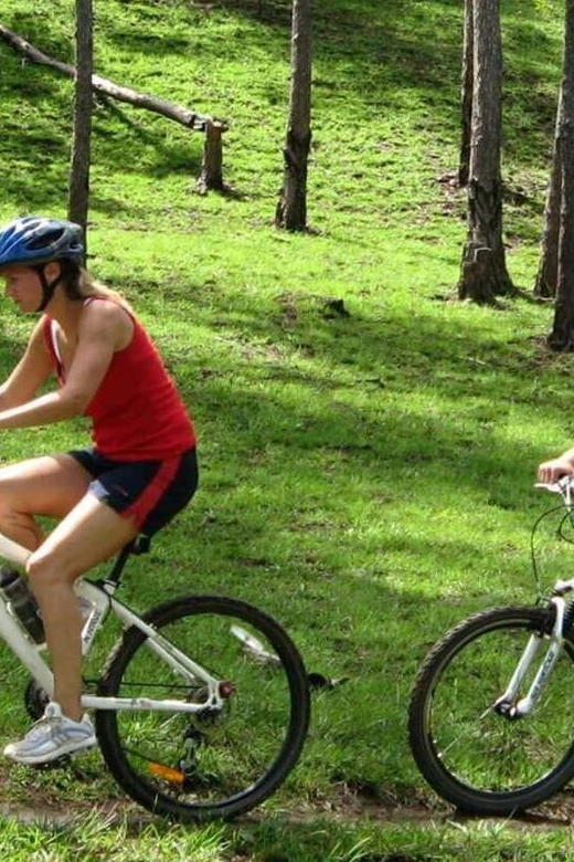 Biking Through Da Lat: Farm Adventure and Scenic Views - Detailed Itinerary