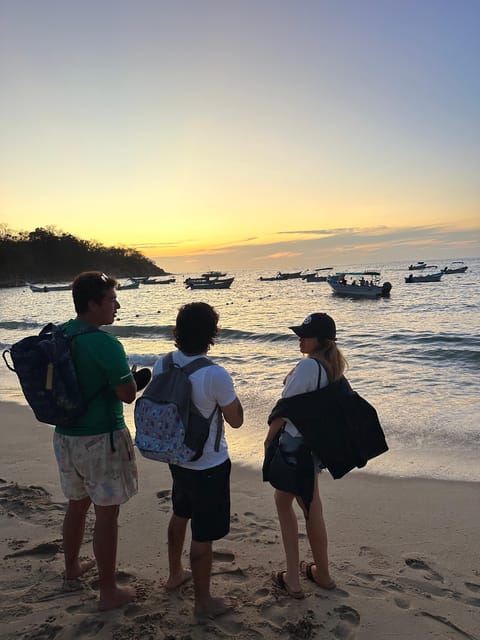 Bioluminescence in the Los Arcos Islands Nature Reserve - Tour Overview
