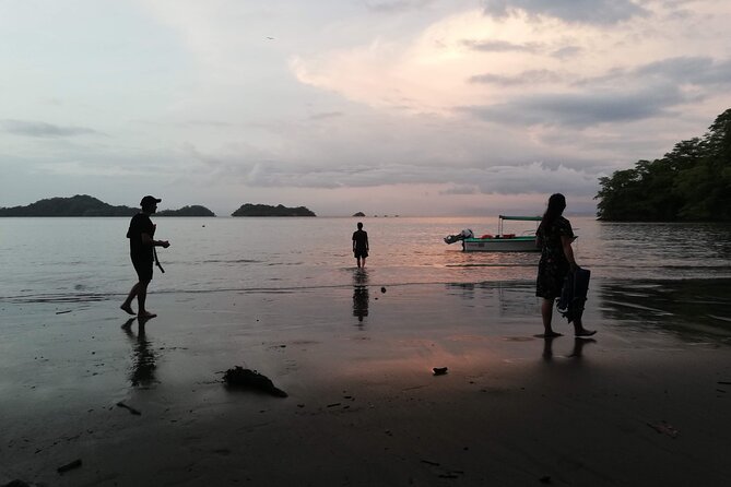 Bioluminescence Tour by Boat