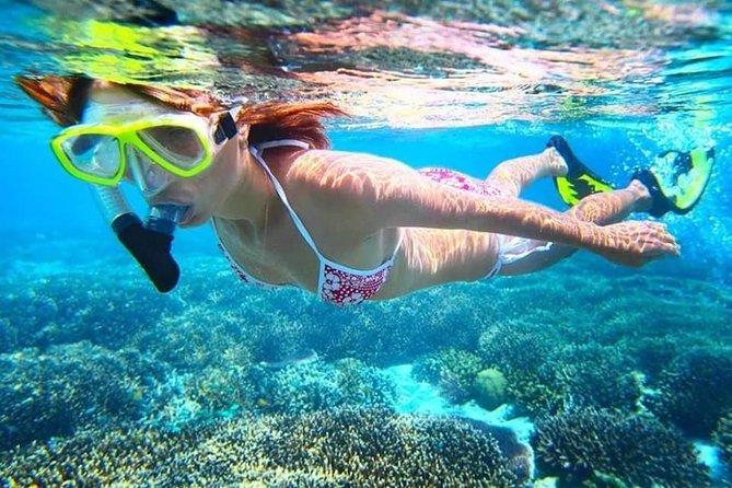 Blue Lagoon Paradise Snorkeling Tour