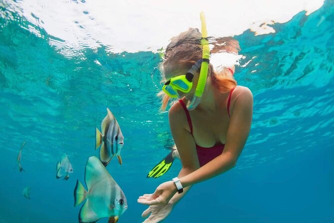 Blue Lagoon Snorkeling and Lunch - Ubud Monkey Forest - Waterfall