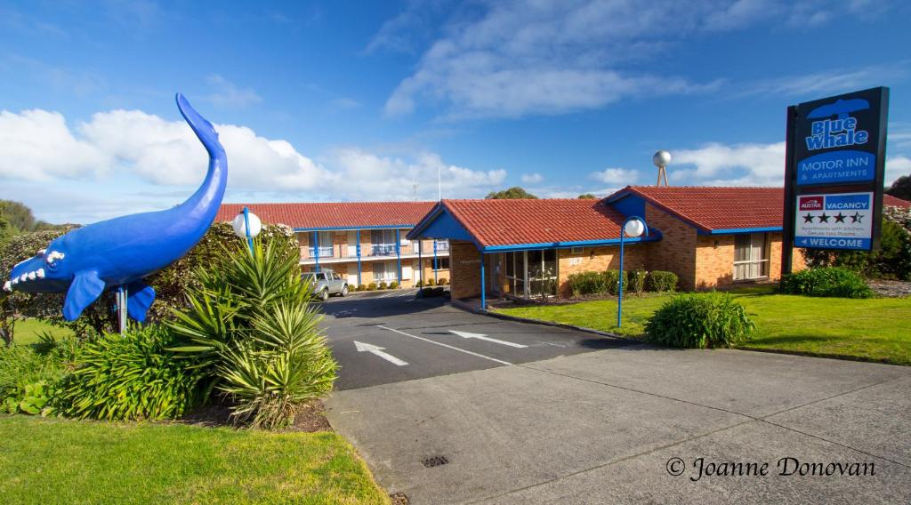 Blue Whale Motor Inn & Apartments Review