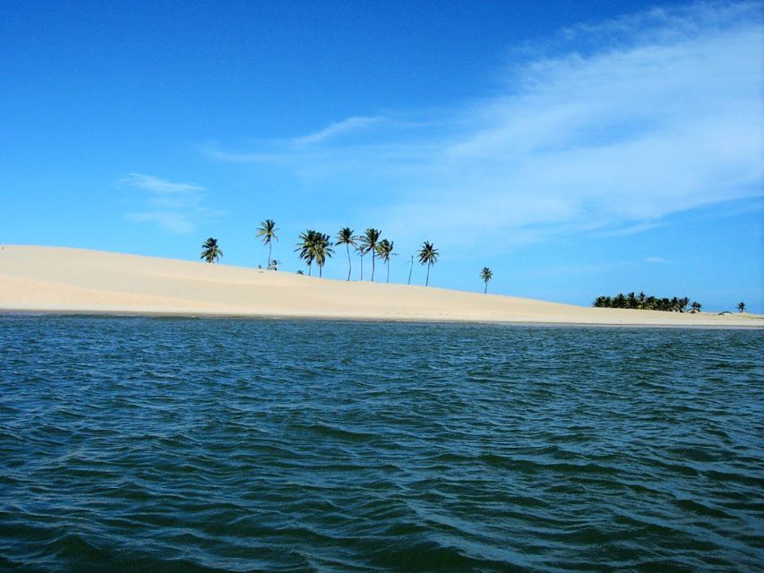 2 Best Cruises And Boat Tours In Maceio