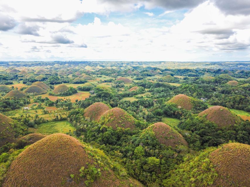 Bohol: Chocolate Hills and Countryside Tour