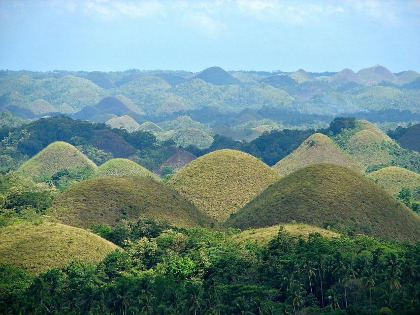 Bohol Day Tour From Cebu