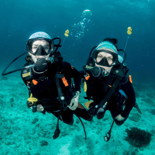 Bohol: Pamilacan Island Fun Dive Experience!