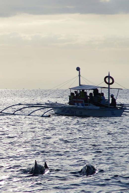 5 Best Tours In Balicasag Island