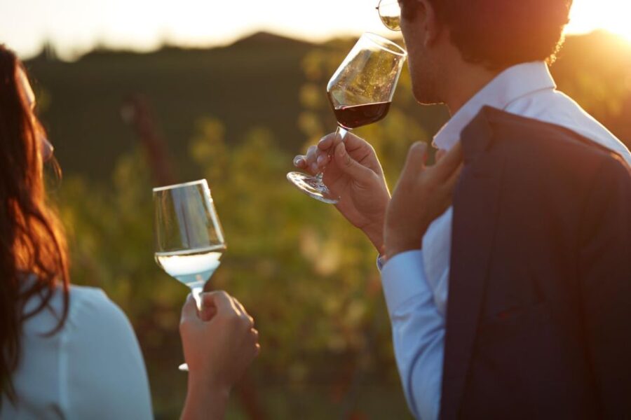 Bologna Vineyard Vista: a Journey Through Emilian Wines