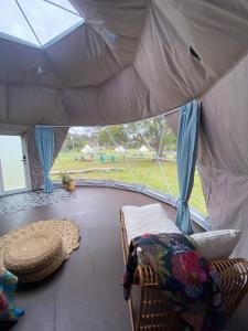 Boogaloo Camp - Location and Accommodations