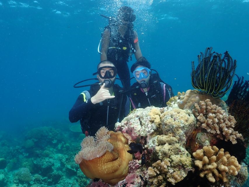 Boracay: Introduction to Scuba Diving Experience