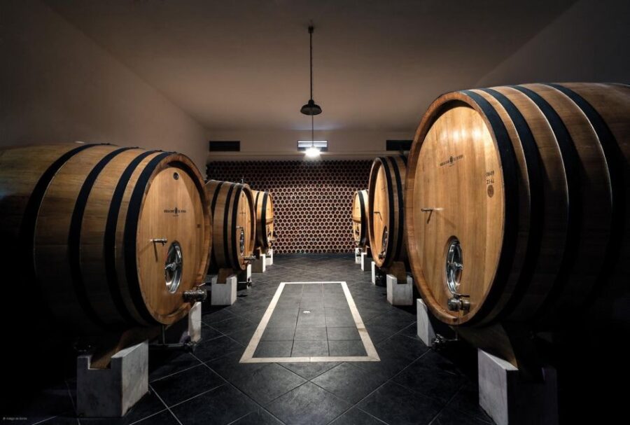 Borba: Winery Tours and Amphora Wine and Snacks Tasting