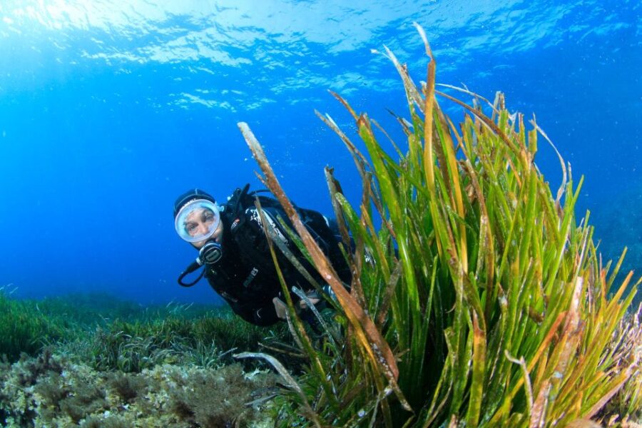 Bosa: Scuba Diving for Beginners in the Bosa Gulf
