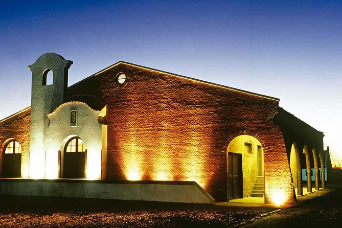 Bouza Winery Tastings and Tapas (Esp, Eng, Port) - Guided Tours and Experiences