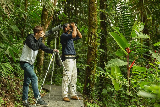Braulio Carrillo Bird Watching Full Day Pass