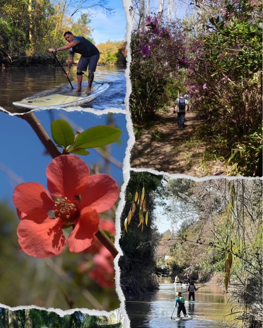 2 Best Canoe And Kayak Experiences In Buenos Aires