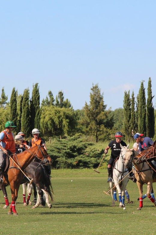Buenos Aires: Horseback Riding and Polo Tour With Lunch - Tour Overview and Pricing