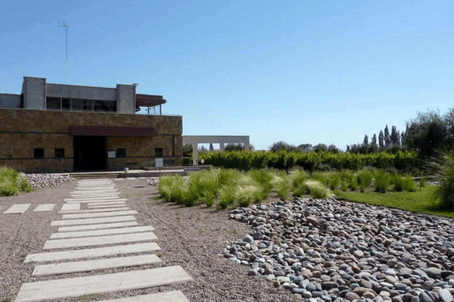 Buenos Aires: Mendoza Wine Paradise Day Trip With Airfare - Overview of the Trip