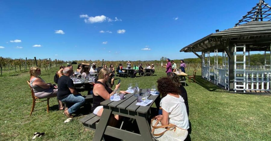 Buenos Aires: Wine Tasting and Lunch at Bodega Gamboa - Overview and Pricing