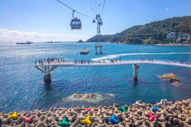 Busan: Fully Customizable Private Tour