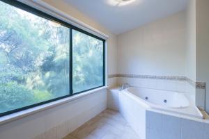 Bushy Lake Chalets - Property Overview