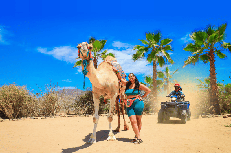Cabo Adventure Combo: Camel Ride, ATV, and Mexican Lunch - Tour Overview and Pricing