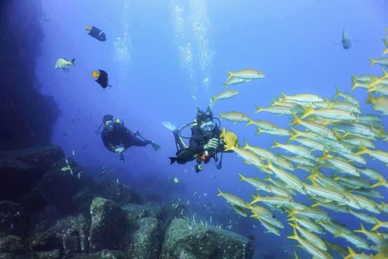 Cabo San Lucas Bay: SCUBA Dive X2 Tanks - Activity Overview