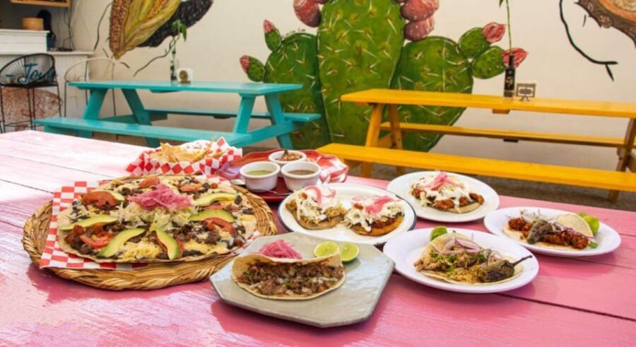 Cabo San Lucas: Cabo Foodie Grand Tour - Tour Overview