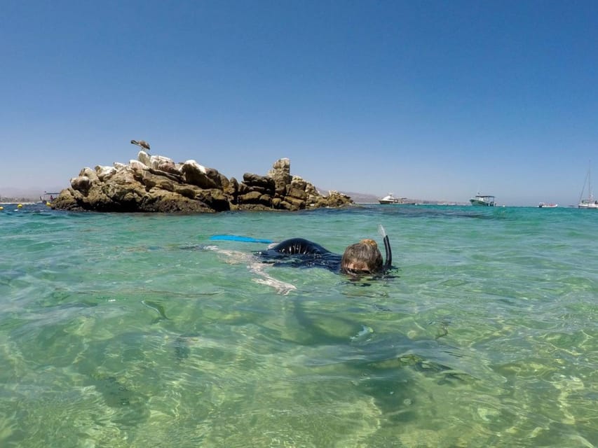 Cabo San Lucas: Reef Snorkel Experience