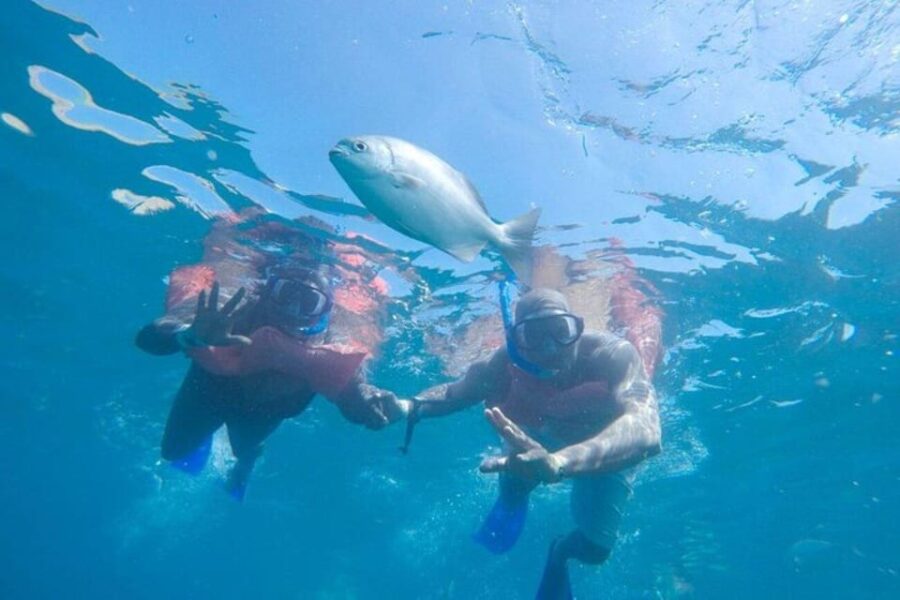 Cabo San Lucas: Snorkeling and Sailing Cruise With Lunch