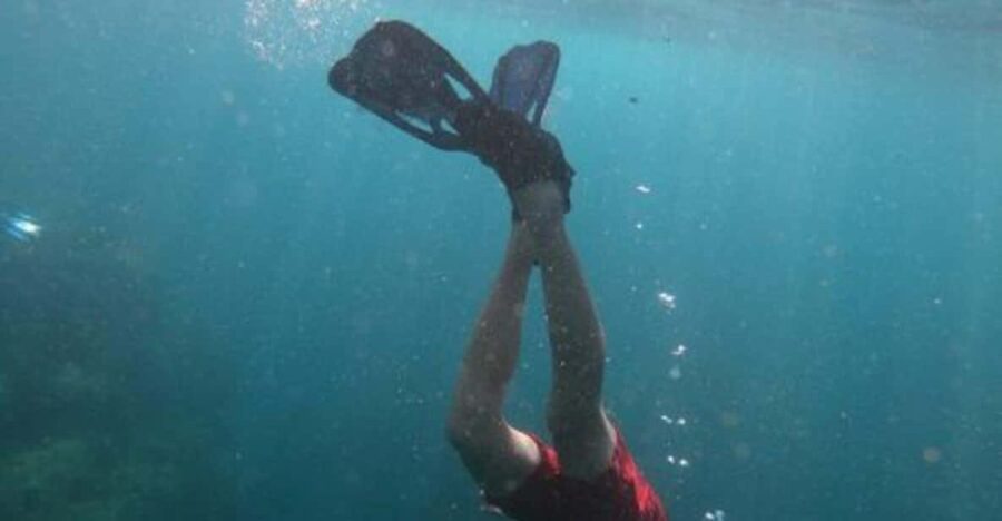 Cabo San Lucas: The Corridor Snorkeling Adventure