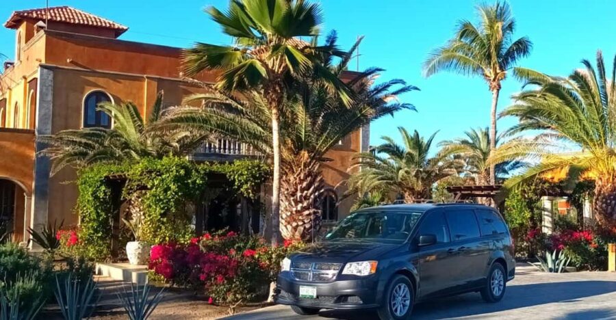 Cabo San Lucas: Transfer From SJD Airport - Service Overview