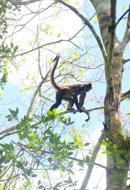 Calakmul Hiking