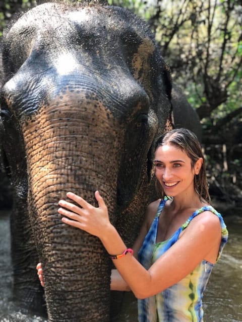 Cambodia Elephant Sanctuary Include Hotel Transfer Roundtrip