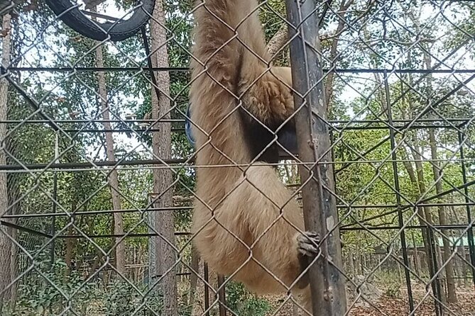 Cambodia Wildlife Sanctuary and Countryside Tour