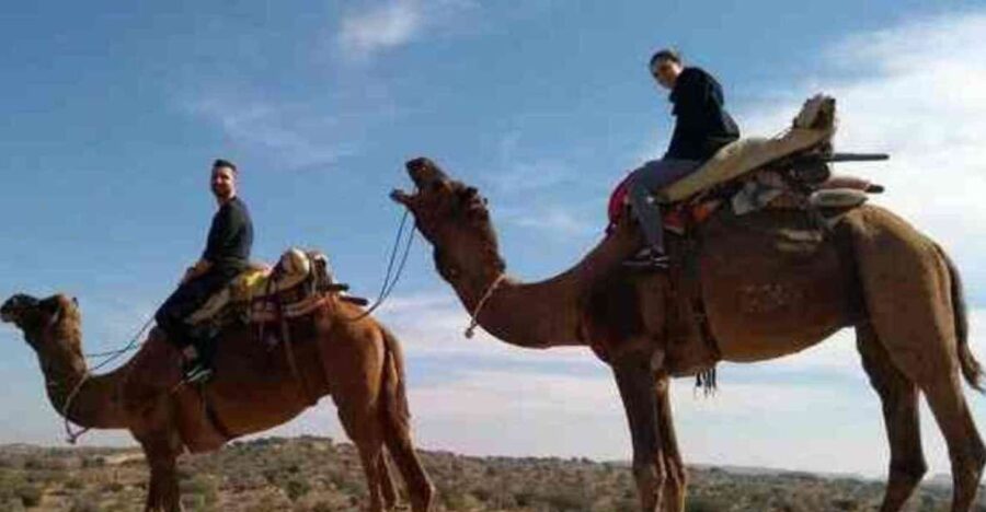 Camel Safari Day Tour From Jodhpur